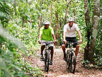 Image of cyclists