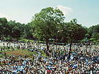 Image of a crowd of people in a park