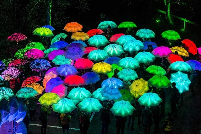 Cirque Bijou Umbrellas