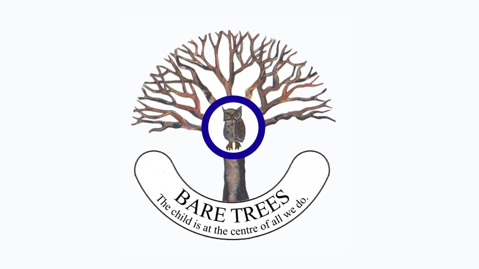 Bare Trees Primary School