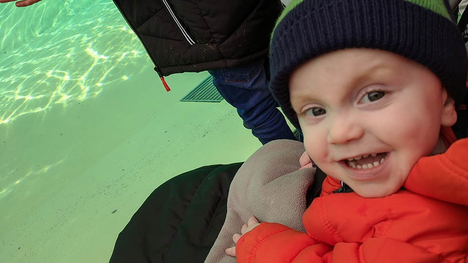 George mchouse hubron