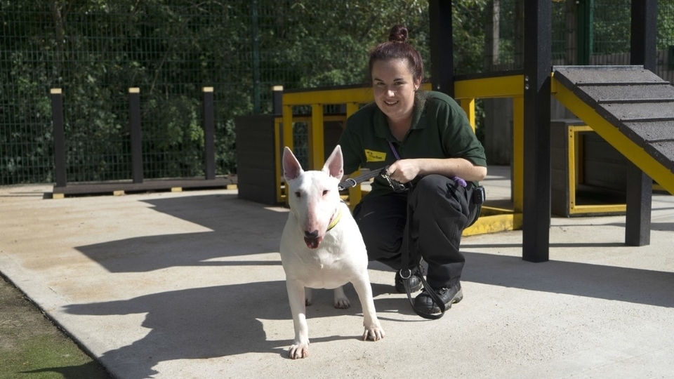 Lola is pictured with canine carer Carly Errington