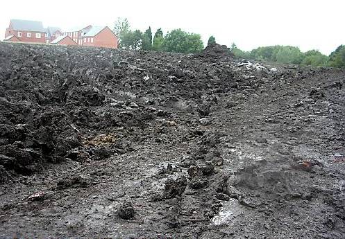 Problems at St Anne’s School, Royton, after the travellers left.