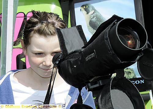 CALL of the wild . . . Tessa King looks out for the peregrine falcons 