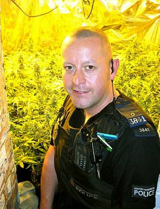 CANNABIS haul . . . PC Adam Murphy uncovers a huge haul  

