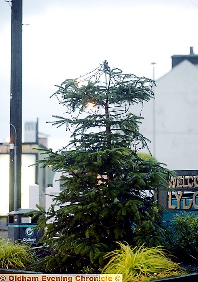 TREE-TOP chop . . . vandals have struck in Lydgate