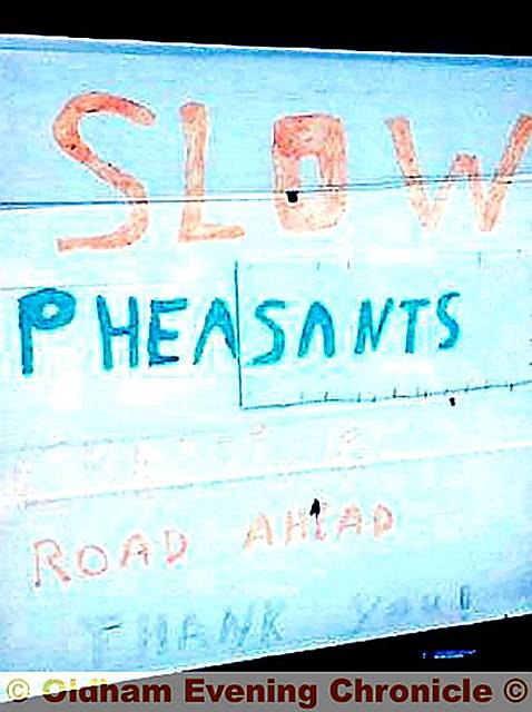 A farmer has appealed to speeding drivers to stop killing his pheasants.


Christopher Crowther has even erected a warning notice on the A635 Greenfield to Holmfirth road.