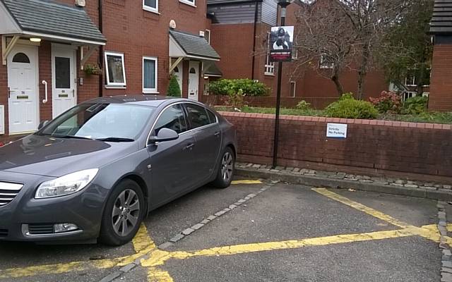 Suzanne Stankard photographed multiple cars parked on the yellow hashed spaces.