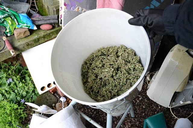 Police arrested a man and woman after a cannabis farm was discovered in Greenfield.