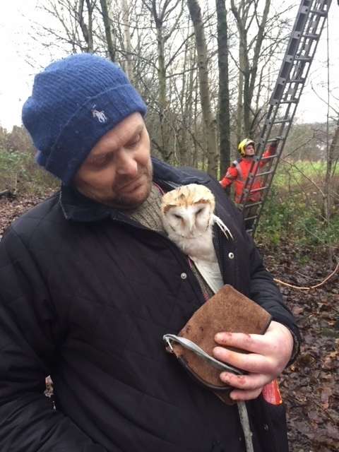 Mazi is reunited with her owner after the rescue.