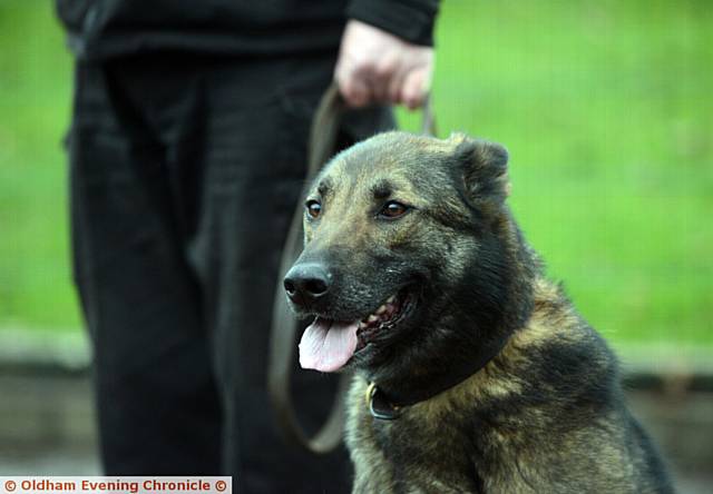 AND relax . . . police dog Gee