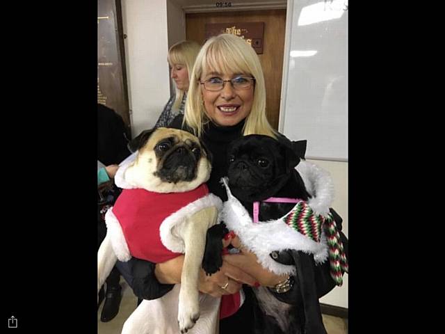 Jeannette Fordham of Manchester Pug Army attended the Pugmas Pawty with pugs Lola and Massie.