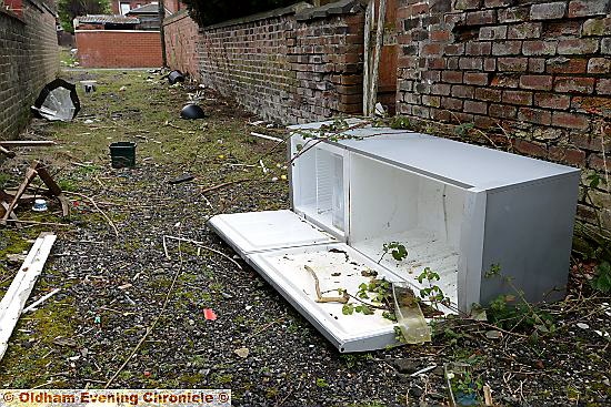 Rubbish dumped in the alley between Kingsley Road and Whitehouse Avenue, Clarksfield.