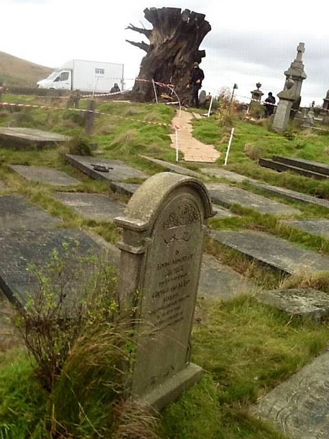 The man made tree in the graveyard in the film A Monster Calls. 