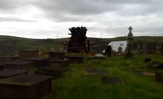 The man made tree in the graveyard in the film A Monster Calls. 