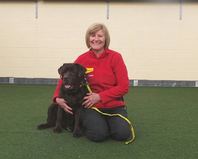 Poppy - Dogs Trust Manchester