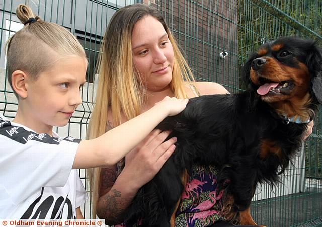 ATTENTIVE: King Charles Spaniel Poppy with Logan Lord and Naomi Hall.
