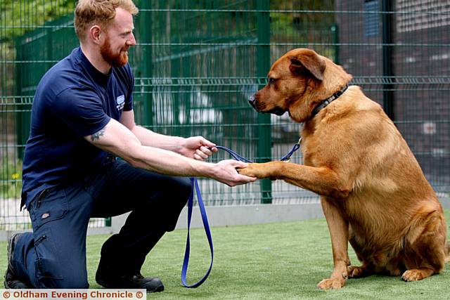 PAW PATROL . . . John Duffy, RSPCA, with Barney, who is up for adoption.