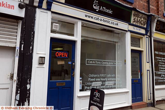 Opening of new Cat-A-Tonic Cafe, where customers can have a cup of coffee while being surrounded by cats.