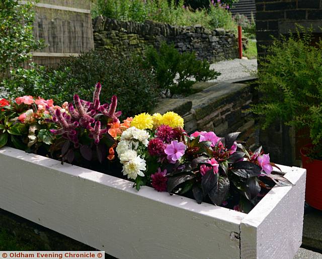 SMALL garden winner . . . Charina Dwayre's garden in Springhead