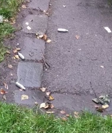 EMPTY gas canisters litter the ground