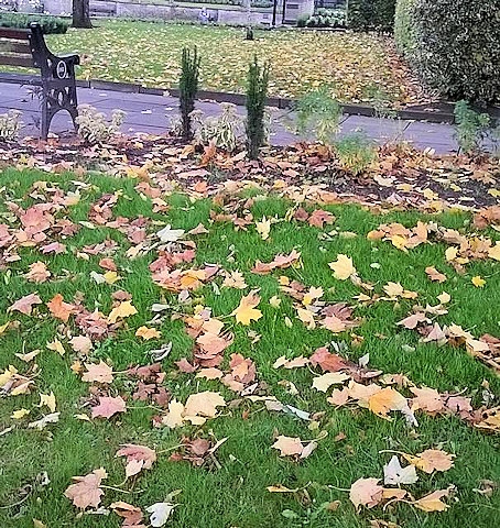 A typical taste of autumn weather for the UK