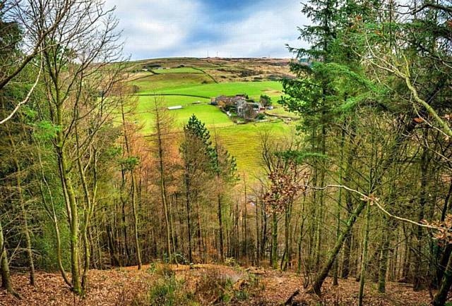 Peace activists and park lovers will walk the labyrinth in Dunwood Park