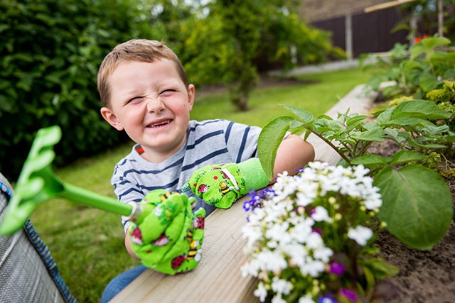 A plant and grow event will be taking place in Hollinwood