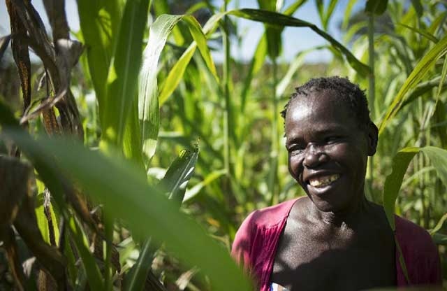 Ashuta is pictured with her Sorghum plants, grown on a former minefield