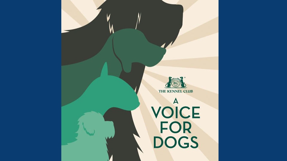 The Kennel Club's 'Voice for Dogs' manifesto 