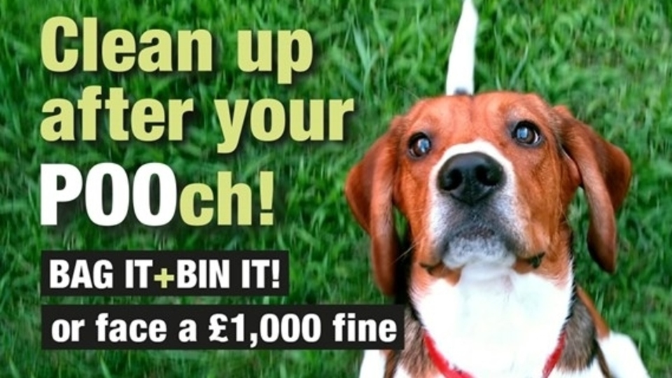 The vast majority of Oldham's dog owners are responsible and clean up after their pets, but sadly a small minority don’t