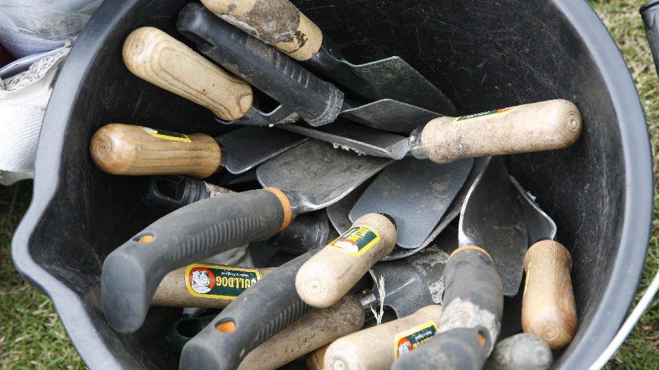 Booking is essential for the Tree Planting Day