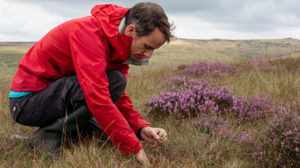 Sphagnum planting at Marsden Moor. Image courtesy of Victoria Holland