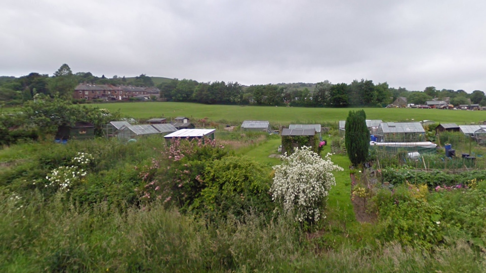 It's understood young people between 13-16 years old have been causing damage to a summer house and nearby allotment greenhouses