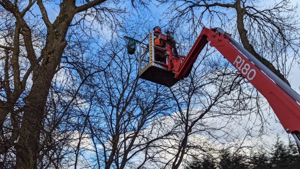 Oldham News | Main News | Lucky kitten Pixie is plucked from 60ft tree ...