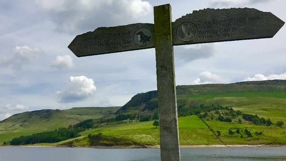 Emergency services were called just before 2.30pm yesterday, to reports of a man and woman in the water