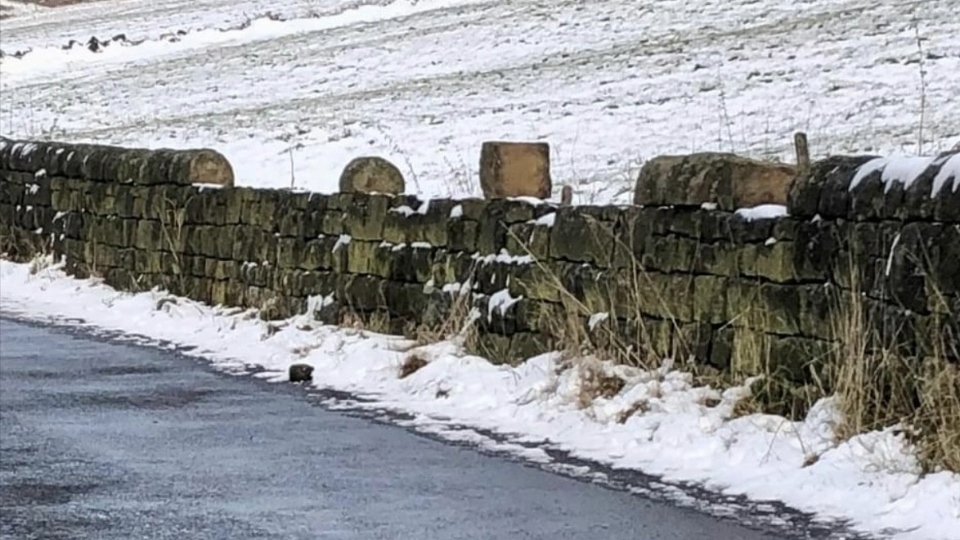 Our picture shows thefts of top stones from a dry stone wall around Castleshaw