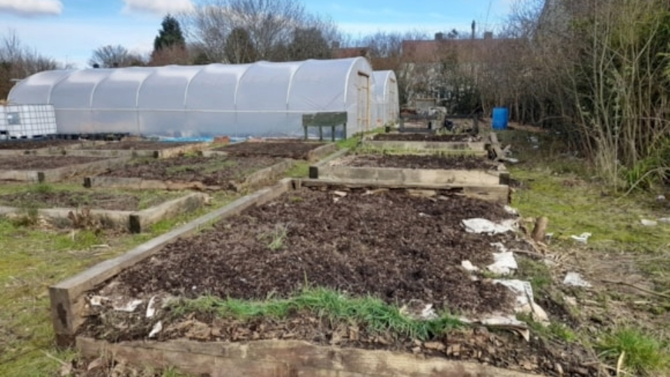 The Veolia Environmental Trust has awarded much-needed funding to the Wildbrook Growing Hub