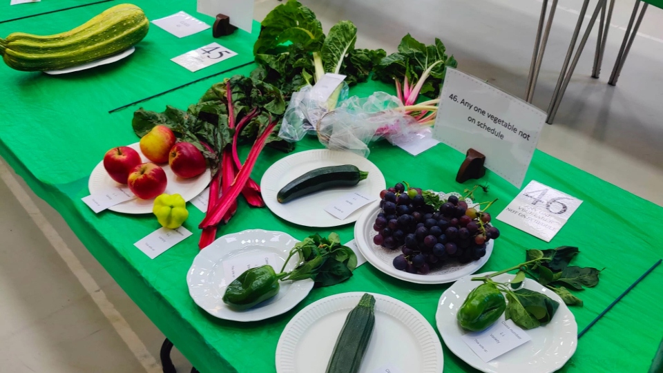 Some of the tasty exhibits on show