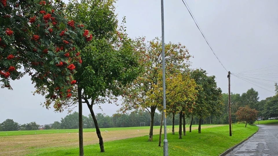 Summer was cooler-than-average in Oldham