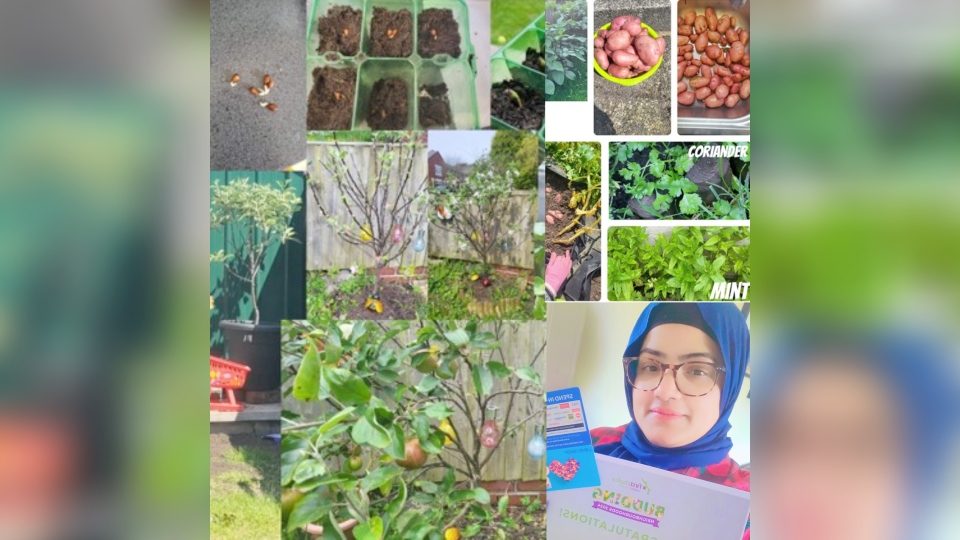 My Garden Harvest Winner Saiqa Zulfar from Glodwick