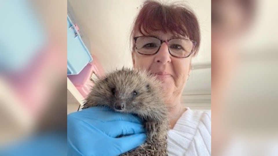 Susan is pictured with with hedgehog Benja