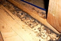 Mouse droppings on the floor 
