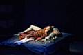 Romeo and Juliet - English National Ballet at the Palace Theatre