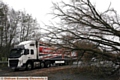 THIS tree across the road caused major disruption during Sunday’s bad weather