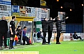 Acting as one . . . from the left, Athletic’s toucline team of David DUnne, Keith Brown and Dean Holden ge their point across.
