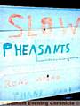 A farmer has appealed to speeding drivers to stop killing his pheasants.


Christopher Crowther has even erected a warning notice on the A635 Greenfield to Holmfirth road.