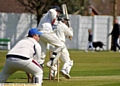 TON OF RUNS . . . Crompton professional Josh Tolley plays the ball to the offside on his way to a century against Elton yesterday. 
