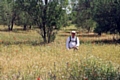 Adam Sutcliffe on the field of battle with red poppies around