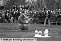 FLASHBACK: It's a Knockout in Alexandra Park in 1977.